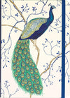 Peacock Journal by Peter Pauper Press with a colorful peacock feather cover and lined pages for writing and notes.