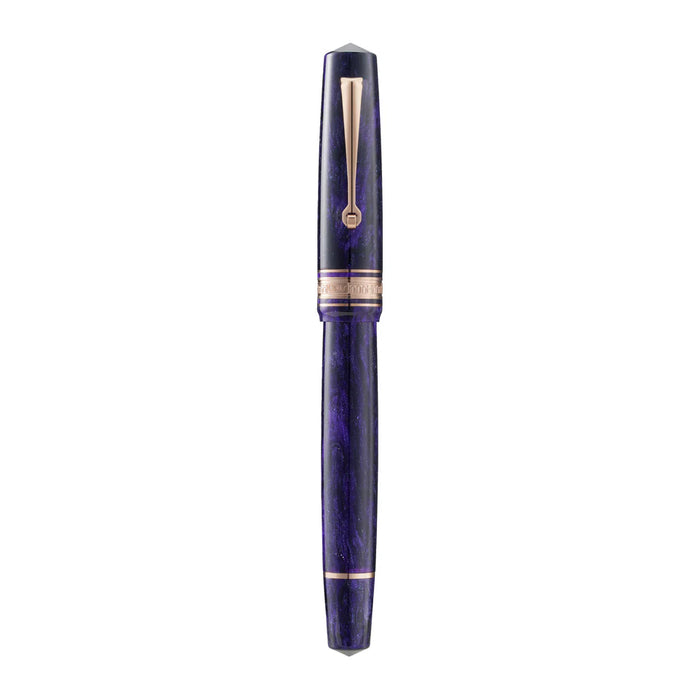 Omas Bologna Ametista Profondo fountain pen with deep purple resin body and gold accents, close-up view of the elegant writing instrument.
