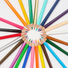 Set of 24 Blackwing colored pencils with vibrant hues displayed in a compact case.