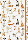 Dog Days Journal by Peter Pauper Press, featuring a colorful cover design with paw prints and playful dog illustrations.