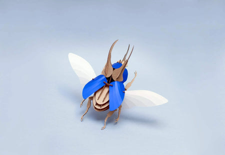 Blue scaled Paper Atlas Beetle craft by Assembli, featuring detailed paper wings and large insect design.