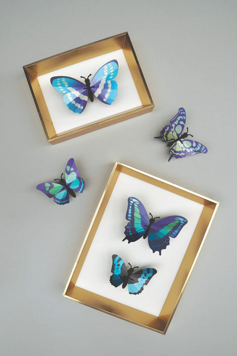 Blue paper butterfly craft set by Assembli with multiple butterfly shapes displayed in a frame.
