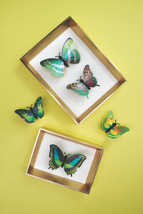 Green paper butterfly craft set by Assembli featuring assembled butterflies displayed in a frame.