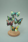 Green butterfly DIY craft set by Assembli displayed on a stand, showcasing colorful paper wings and detailed craft components.