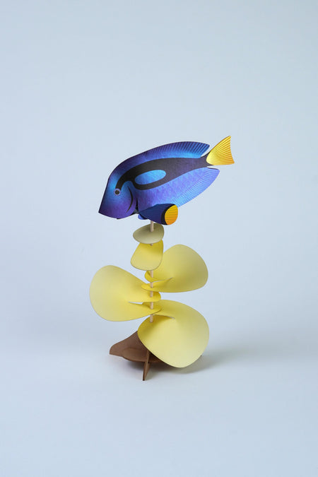 Blue Tang paper craft by Assembli featuring a colorful, detailed fish design perfect for creative arts and crafts projects.
