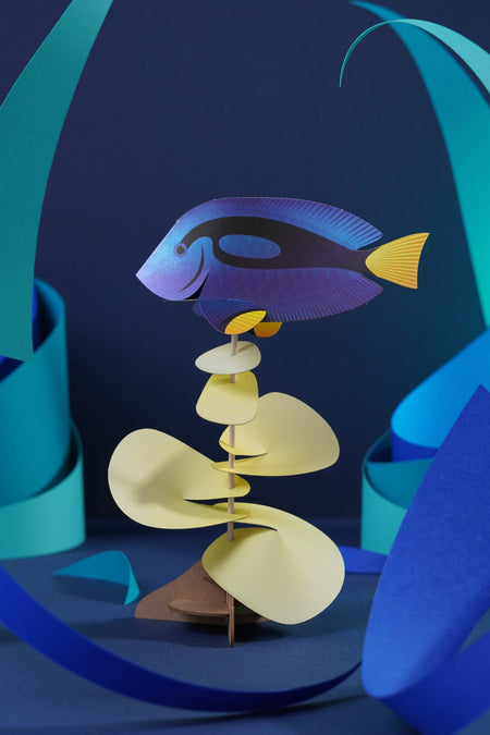 Blue Tang paper craft by Assembli, showcasing a colorful, detailed paper model of a Blue Tang fish with vibrant blue and yellow tones.