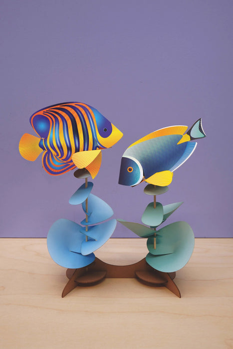 Crafts featuring a powder tang and regal angelfish, designed by Assembli, with colorful fish illustrations on a craft project.