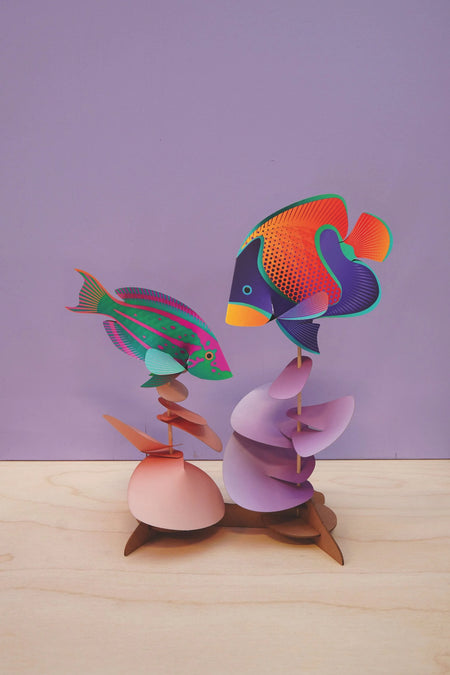 Assembli Fish Duo craft set featuring colorful Rainbow Wrasse and Majestic Angelfish illustrations on paper.