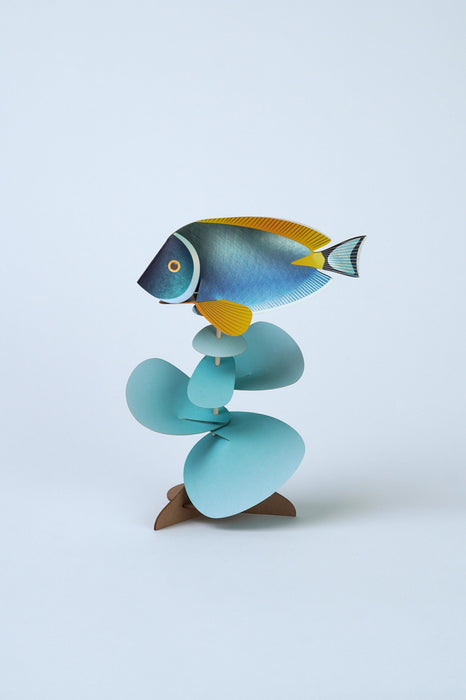 Assembli Paper Powder Tang craft kit featuring colorful paper powder in a fish shape for creative art projects.