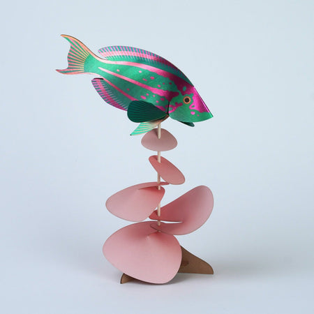 Colorful paper rainbow wrasse craft by Assembli, featuring vibrant paper layers and detailed fish design for creative projects.