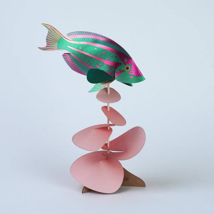 Colorful paper rainbow wrasse craft by Assembli, featuring vibrant paper layers and detailed fish design for creative projects.