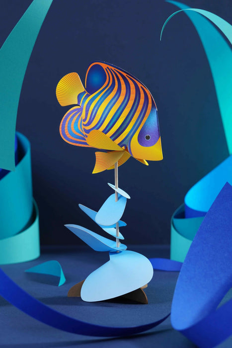 Crafts paper model of a Regal Angelfish by Assembli, featuring colorful fins and detailed scales on a white background.
