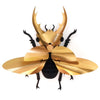 Gold-colored Paper Giant Stag Beetle by Assembli, showcasing detailed paper-crafted insect with textured wings and prominent mandibles.