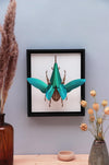 Black wood craft frame by Assembli with smooth finish, ideal for displaying arts and crafts projects.