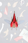 Assembli Paper Hercules Beetle craft, large detailed insect model with textured wings and prominent horns, suitable for educational projects.