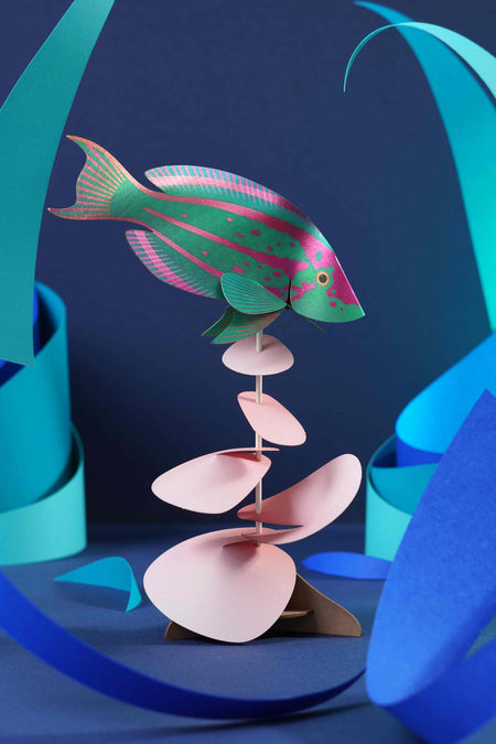 Colorful paper Rainbow Wrasse craft by Assembli, showcasing vibrant folded paper fish with detailed fins and bright rainbow hues.