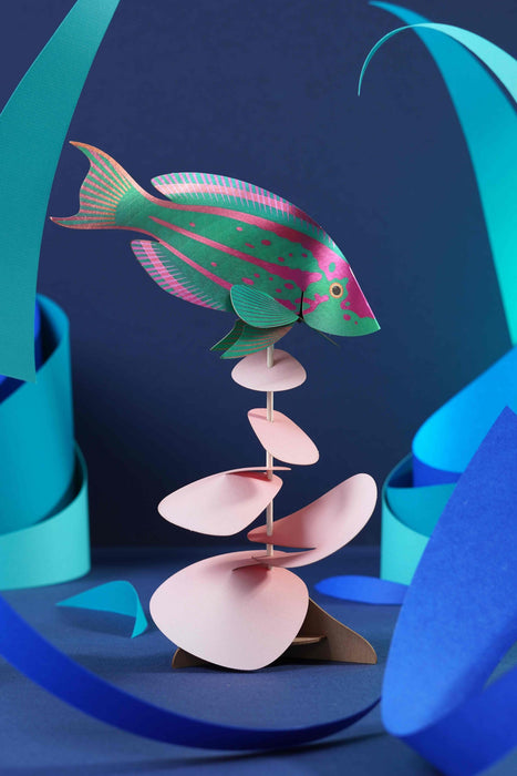 Colorful paper Rainbow Wrasse craft by Assembli, showcasing vibrant folded paper fish with detailed fins and bright rainbow hues.
