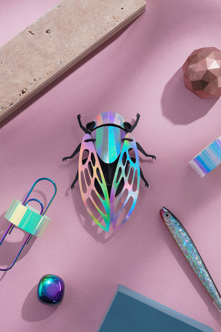 Colorful paper cicada craft by Assembli featuring rainbow paper wings and detailed body, perfect for creative projects.