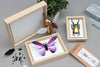 Natural wooden craft frames by Assembli, showcasing smooth wood texture and simple design for creative projects.