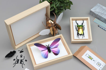Natural wooden craft frames by Assembli, showcasing smooth wood texture and simple design for creative projects.