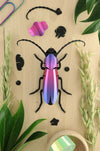 Purple Paper Rosalia Beetle craft by Assembli, showcasing detailed paper sculpture with vibrant purple wings and intricate body features.