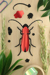 Red paper Rosalia beetle craft by Assembli, showcasing detailed handcrafted insect with vibrant red paper wings and body.