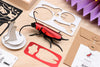 Assembli Paper Rosalia Beetle craft, detailed paper art featuring a colorful beetle with intricate folded wings and body.