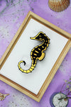 Gold seahorse craft in natural wooden frame from Assembli, showcasing detailed craftsmanship and rustic wooden texture.