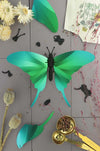 Green Paper Swordtail Butterfly craft by Assembli, showcasing detailed paper wings and vibrant colors for DIY art projects.