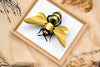 Natural wooden craft frame with a giant honey bee design, perfect for DIY projects and home decor by Assembli.