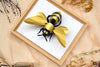 Assembli Paper Giant Honey Bee craft with colorful paper pieces and assembled wings, perfect for creative DIY projects.