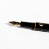 Nahvalur Nautilus bronze Corydoras fountain pen with detailed design and polished finish, showcasing the elegant writing instrument.