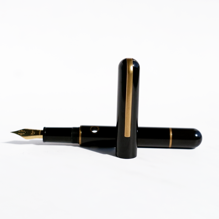 Nahvalur Nautilus bronze fountain pen with intricate Corydoras fish design on the barrel, showcasing elegant craftsmanship and detailing.