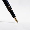 Nahvalur Nautilus bronze fountain pen with intricate Corydoras fish design on the body, showcasing elegant craftsmanship and detailing.