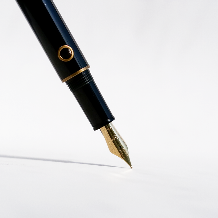 Nahvalur Nautilus bronze fountain pen with intricate Corydoras fish design on the body, showcasing elegant craftsmanship and detailing.