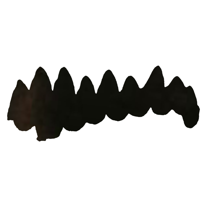 Black fountain pen ink bottle by Papier Plume, showcasing the ink's smooth consistency and elegant packaging.