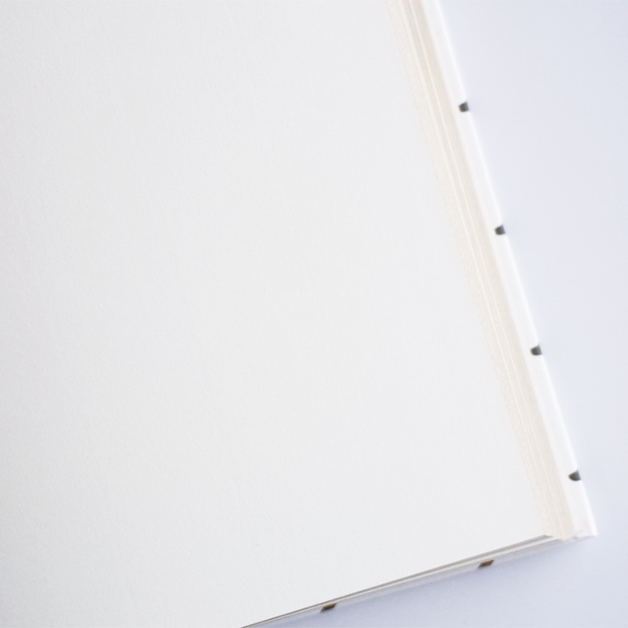 Rossi dog journal with blank pages for recording pet notes and memories, featuring a durable cover and compact design.