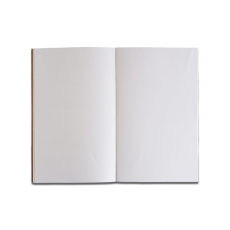 Giftsland hedgehog journal with blank inside pages, featuring a cute hedgehog illustration on the cover for writing and note-taking.