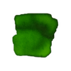Anderillium Bobtail Squid Green fountain pen ink in a glass bottle with vibrant green ink visible inside.