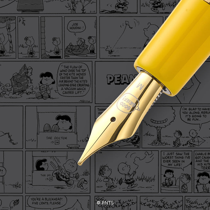 Esterbrook Charlie Brown Estie fountain pen with gray background, featuring Peanuts Charlie Brown illustration on the pen.