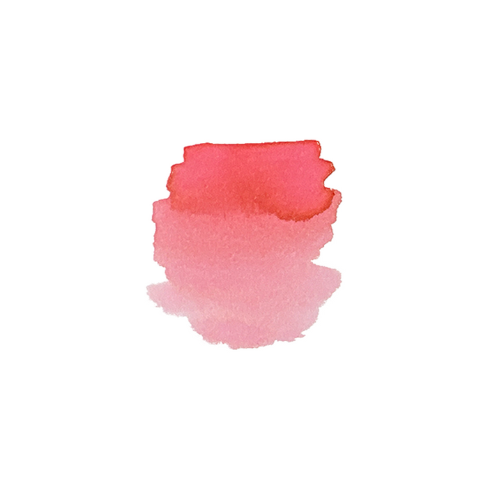 Bottle of Pilot Iroshizuku Hana Ikada fountain pen ink in a 50ml container, featuring elegant Japanese calligraphy on the label.