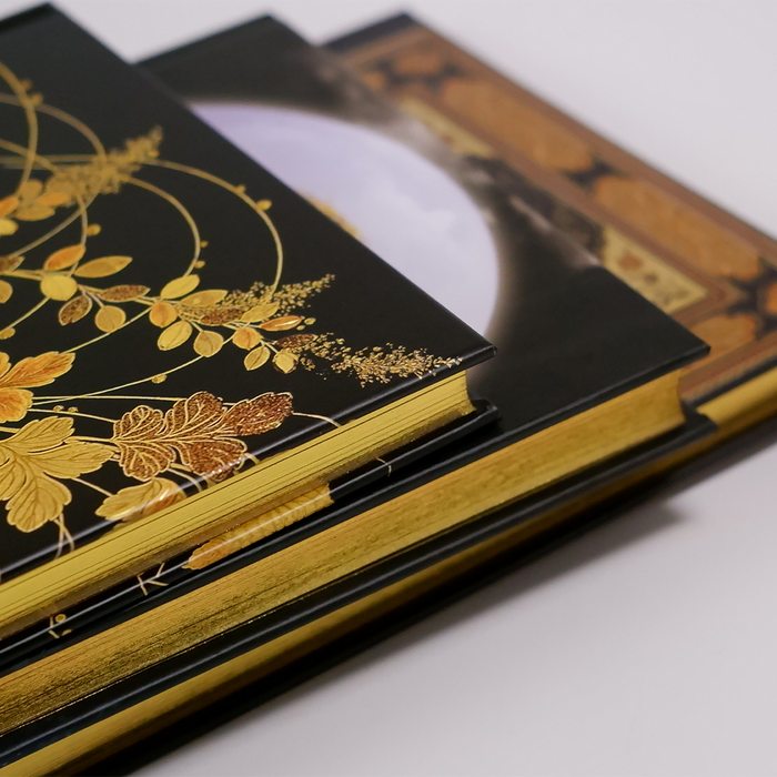 Papier Plume Rendezvous with a Journal Valentine's Day blind set featuring elegant journals with romantic-themed covers.