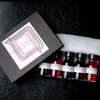 Papier Plume The Loop Series fountain pen ink set with colorful ink bottles displayed on a white background.
