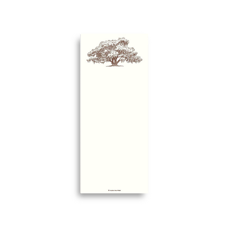 Alexa Pulitzer Live Oak long pads, feminine hygiene product with discreet, comfortable design for everyday wear.
