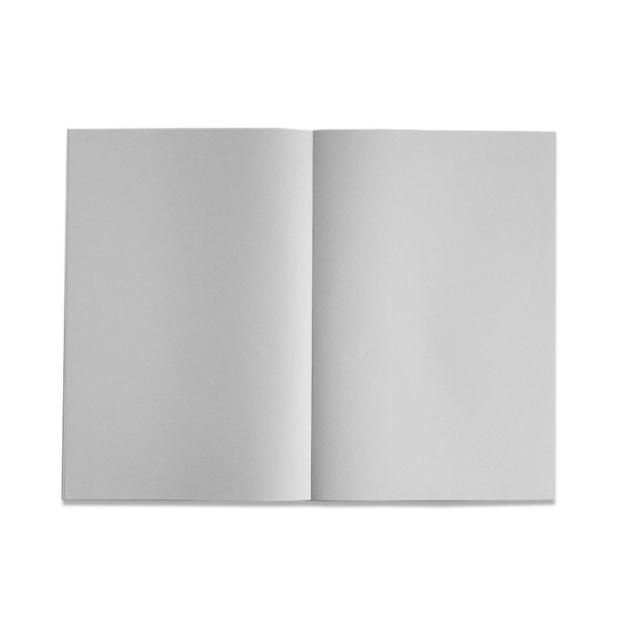 Nebula notebook with blank pages, featuring the Nebula brand logo on the cover, ideal for writing and note-taking.