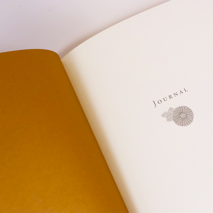 Open Papier Plume Rendezvous with a Journal Valentine's Day blind set, featuring elegant paper and writing accessories.