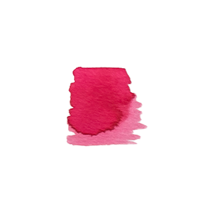 Papier Plume The Loop Series fountain pen ink set with colorful ink bottles in a sleek display.