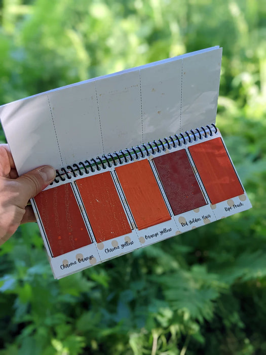 Peerless Watercolors The Sidekick Complete Edition watercolor set with colorful pans and brush, perfect for artists and painting projects.