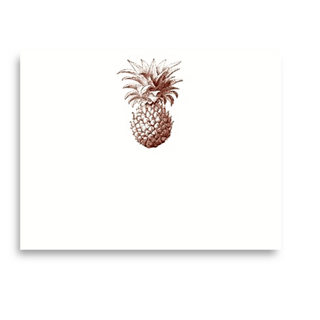 A2 Notes by Alexa Pulitzer features a vibrant pineapple illustration on the product packaging, highlighting tropical fruit design.