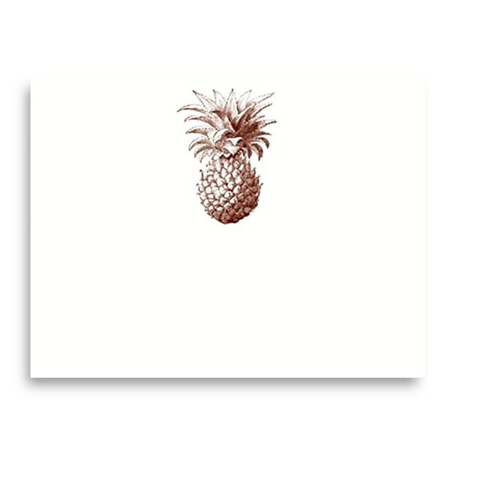 A2 Notes by Alexa Pulitzer features a vibrant pineapple illustration on the product packaging, highlighting tropical fruit design.